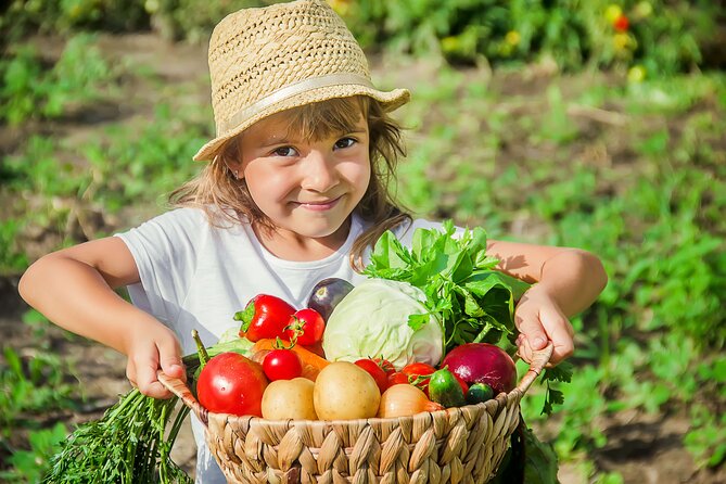 Hands-On Cooking Class & Farmhouse Tour on the Amalfi Coast - Key highlights you will feel right away
