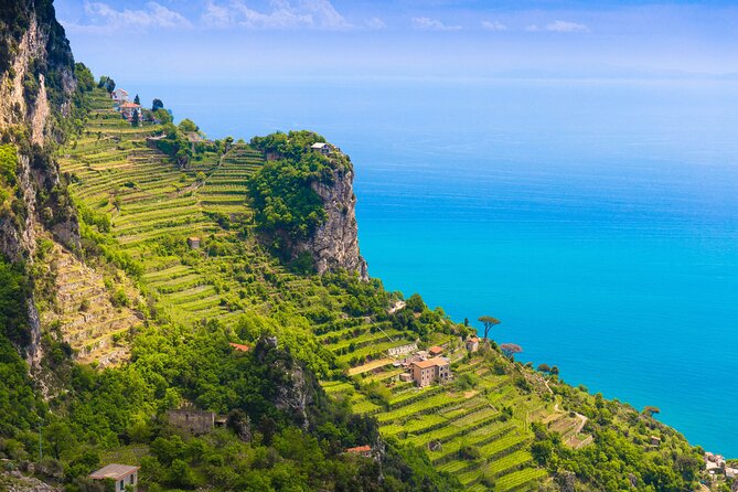 Hands-On Cooking Class & Farmhouse Tour on the Amalfi Coast - Why this Amalfi cooking class is more than a meal ticket