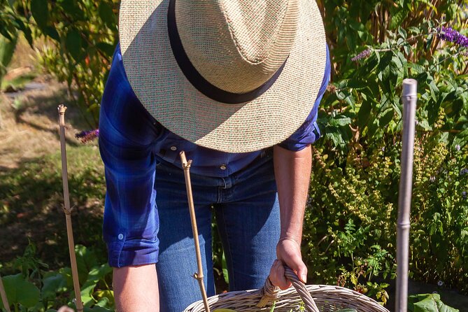 Hands-On Cooking Class & Farmhouse Tour on the Amalfi Coast - Harvesting day: gloves, wicker baskets, and seasonal herbs