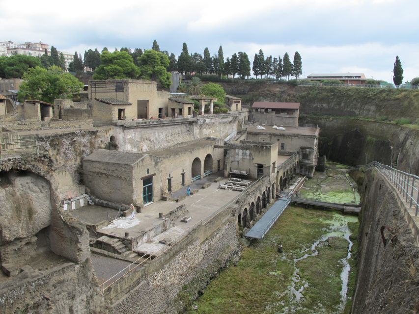 Herculaneum: 3D Walking Tour with Skip-the-Line Ticket - Key highlights I’d circle first