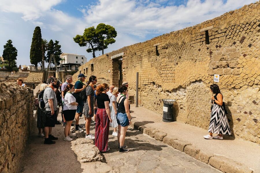 Herculaneum: Skip-the-Line Guided Tour with Archaeologist - Who the Archaeologist Tour Is Best For