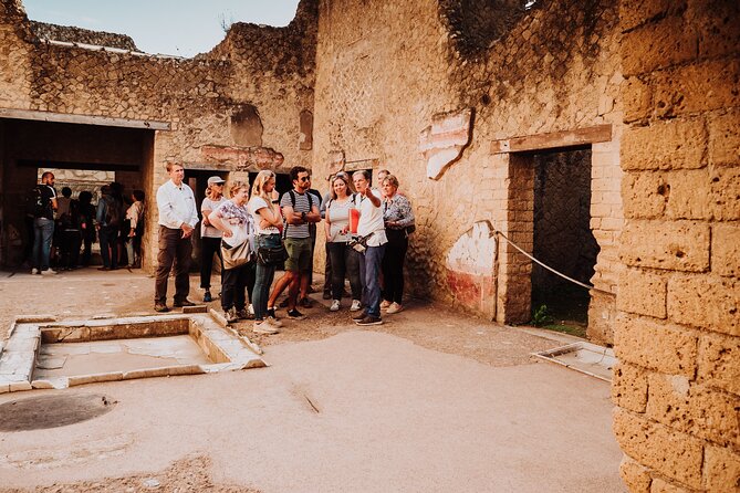 Herculaneum Small Group Tour and Ticket With an Archaeologist - Casa del Rilievo di Telefo: a house with a private thermal link