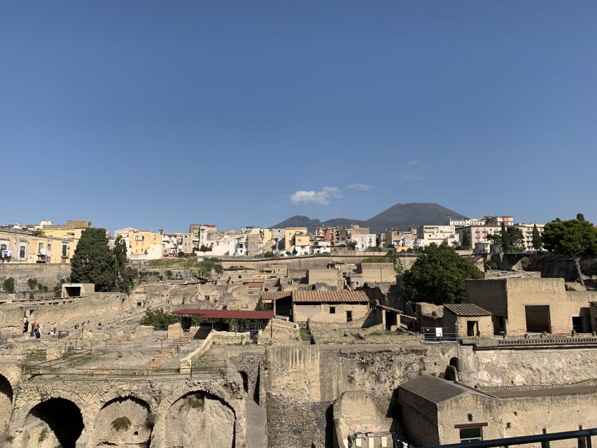 Herculaneum: Tickets & Tour with a Local Archaeologist - Casa di Nettuno ed Anfitrite: gods in everyday spaces