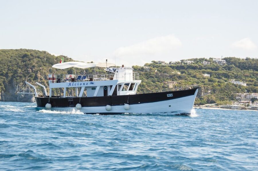 Ischia: Island Boat Tour with Neapolitan Lunch & Snorkeling - Should you book the Ischia Island Boat Tour with Neapolitan lunch and Green Grotto?