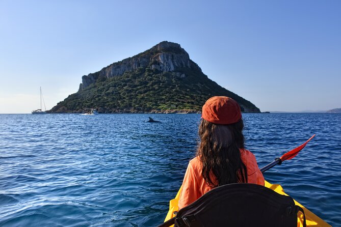 Kayak tour with aperitif and dolphins - Key things I’d circle before you book