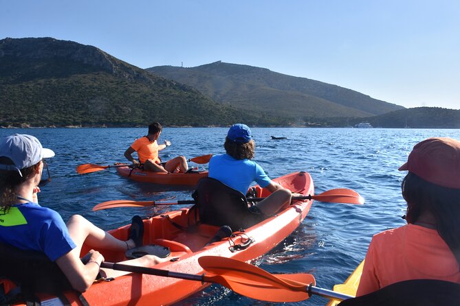 Kayak tour with aperitif and dolphins - Is this tour okay for beginners, or is it a workout?