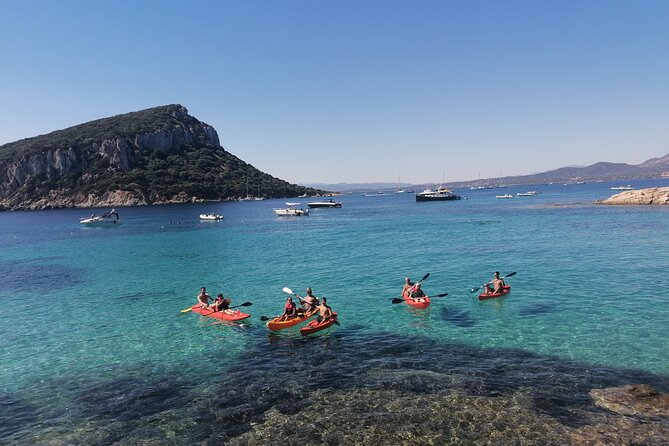 Kayak tour with aperitif and dolphins - Price and value: why $54.42 feels fair here