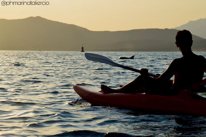 Kayak tour with aperitif and dolphins - Timing tips: sunrise for calmer water, afternoons for a longer linger