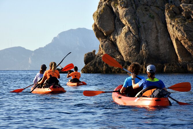 Kayak tour with aperitif and dolphins - Figarolo Island aperitif, plus dolphins that actually show up