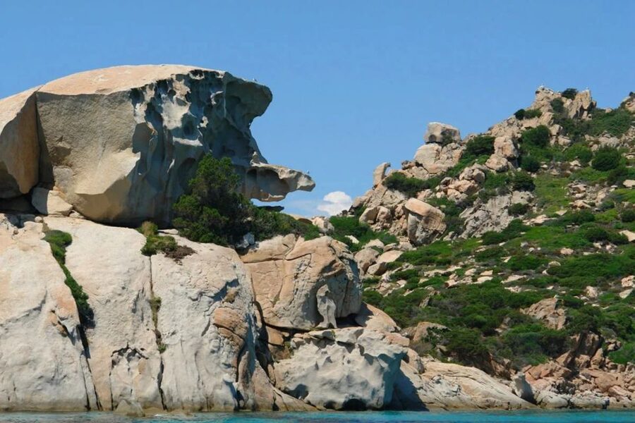 La Maddalena: Caprera,Spargi,Budelli & Santa Maria Boat Tour - Budelli and the Natural Pools: Photos, Time, and Big Views