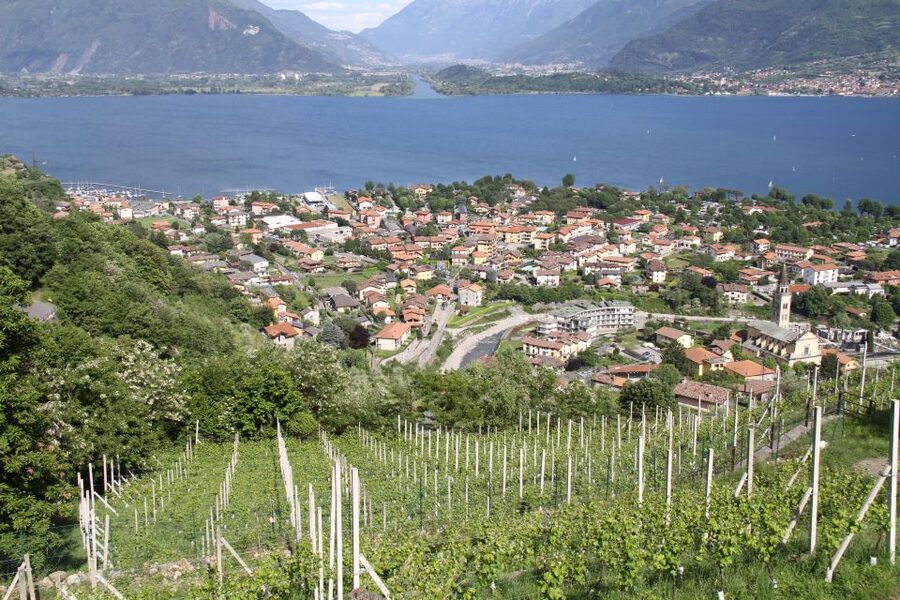 Lake Como: Winery Tour with Wine Tasting - Key Highlights You Should Actually Care About