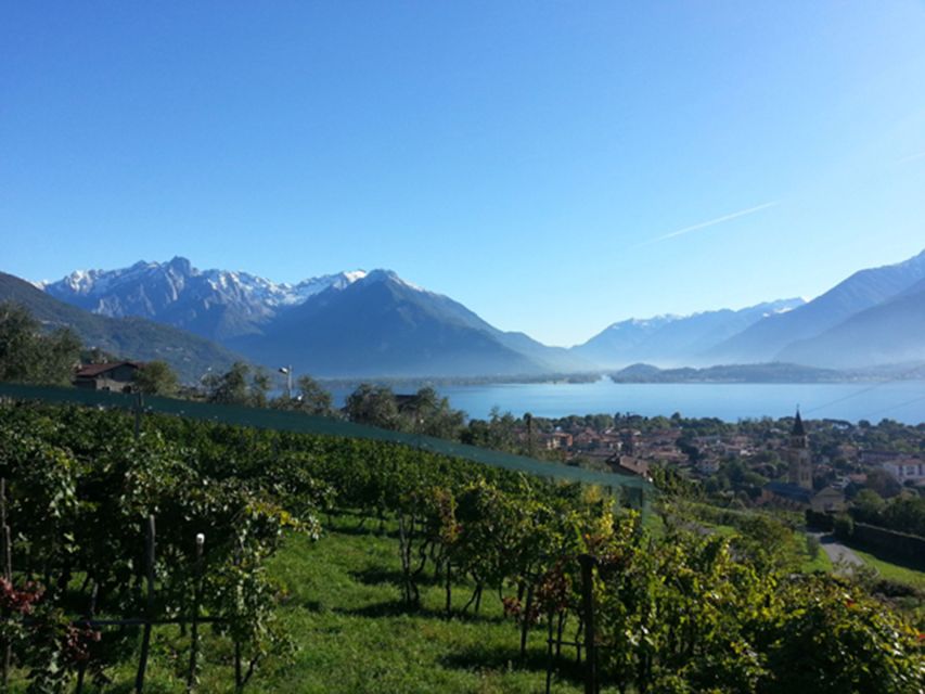 Lake Como: Winery Tour with Wine Tasting - The Best Part: Hospitality That Doesn’t Feel Scripted