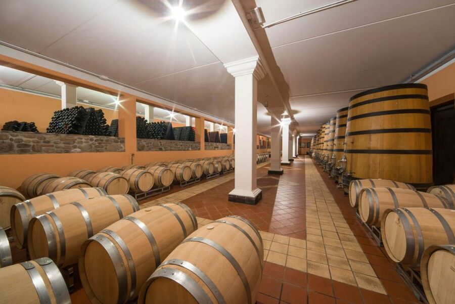 Lake Garda: Garda Hills Wine Tour and Tasting - Key highlights at a glance