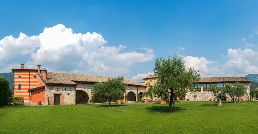 Lake Garda: Garda Hills Wine Tour and Tasting - A hillside estate where wine and olive oil share the spotlight