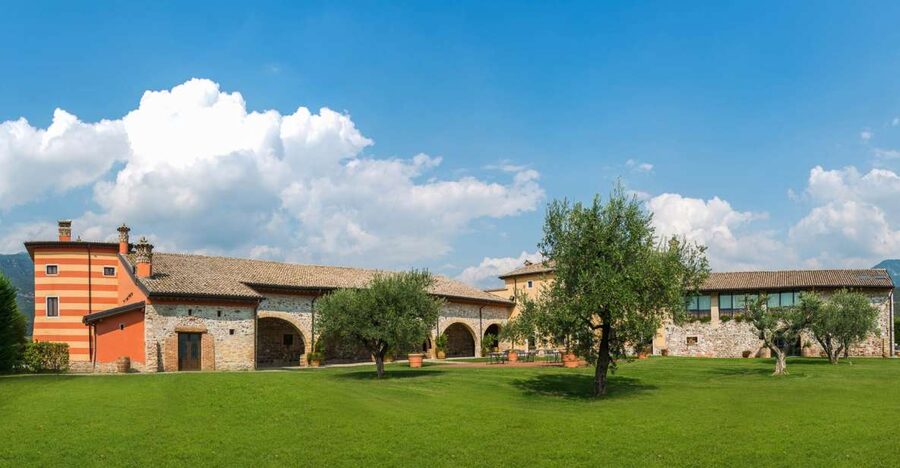 Lake Garda: Garda Hills Wine Tour and Tasting - Vineyard lessons that actually help you taste
