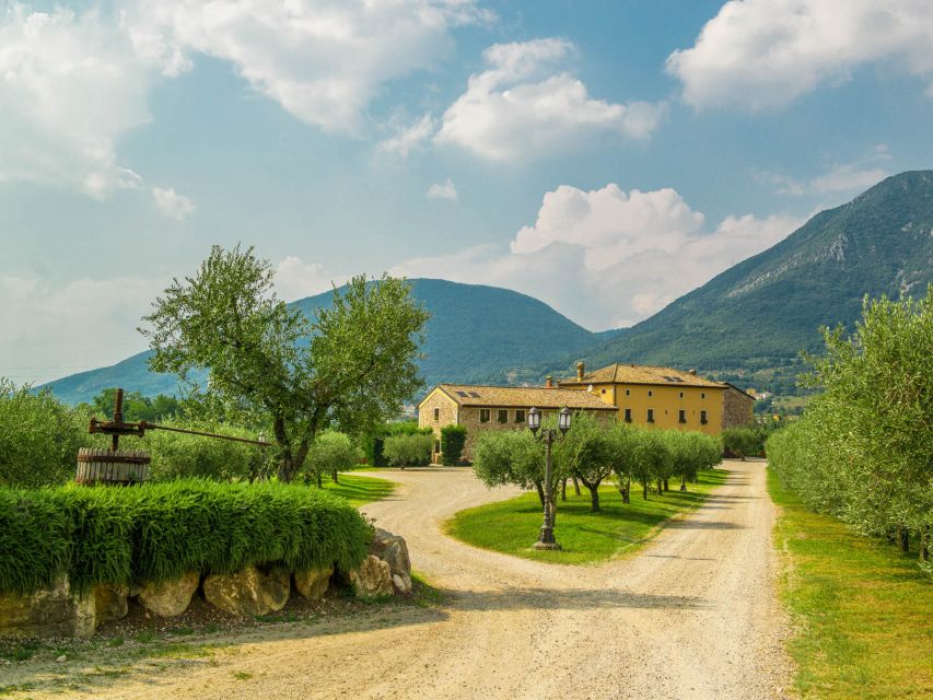 Lake Garda: Garda Hills Wine Tour and Tasting - Language, guide style, and how to get the most from it