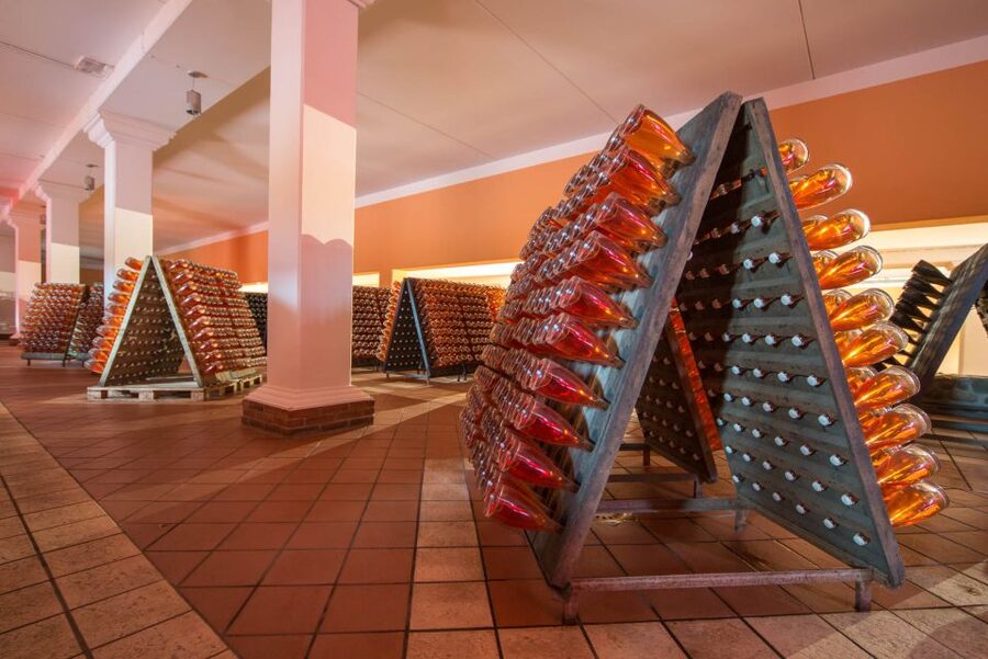 Lake Garda: Garda Hills Wine Tour and Tasting - Small practical considerations that can affect your comfort