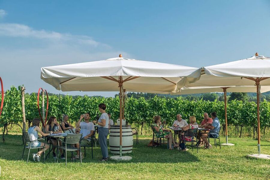 Lake Garda: Wine and Food Tastings in the Vineyards - What happens during the two-hour tasting outdoors