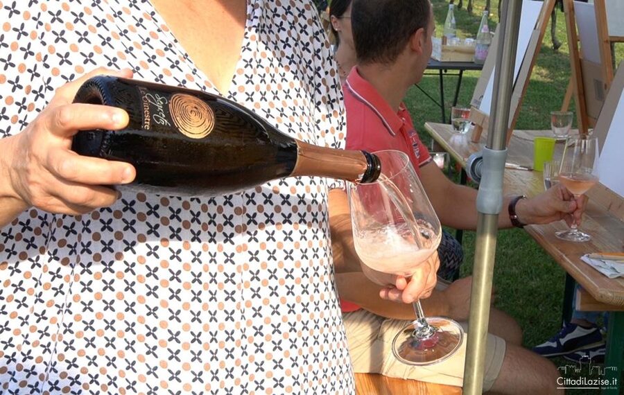 Lake Garda: Wine and Food Tastings in the Vineyards - Verona salami, cheeses, bread, and Garda extra virgin olive oil