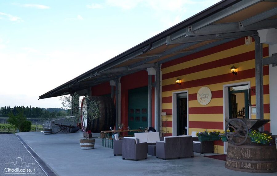 Lake Garda: Wine and Food Tastings in the Vineyards - What is not included, and when you might want a cellar tour