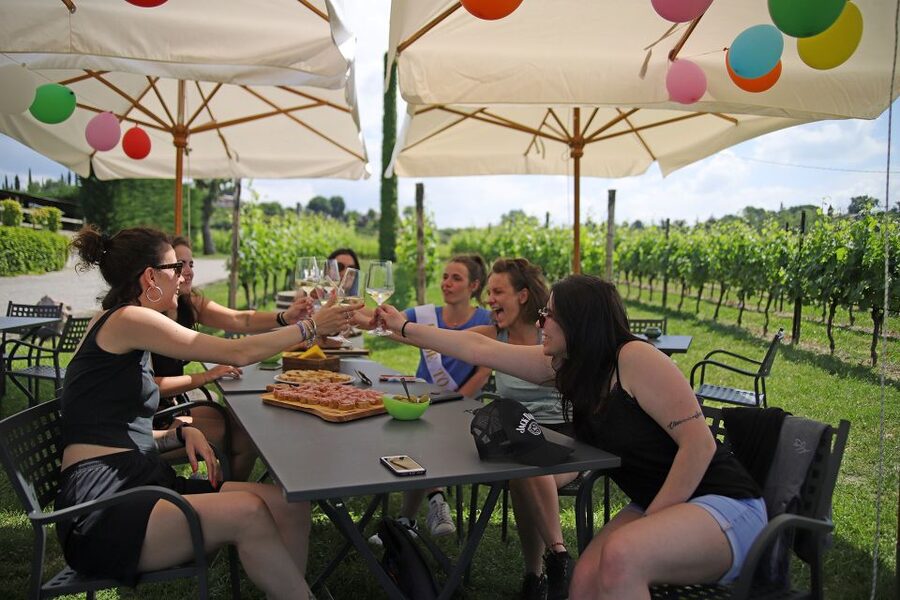Lake Garda: Wine and Food Tastings in the Vineyards - Should you book this Lake Garda wine and food tasting in Lazise?
