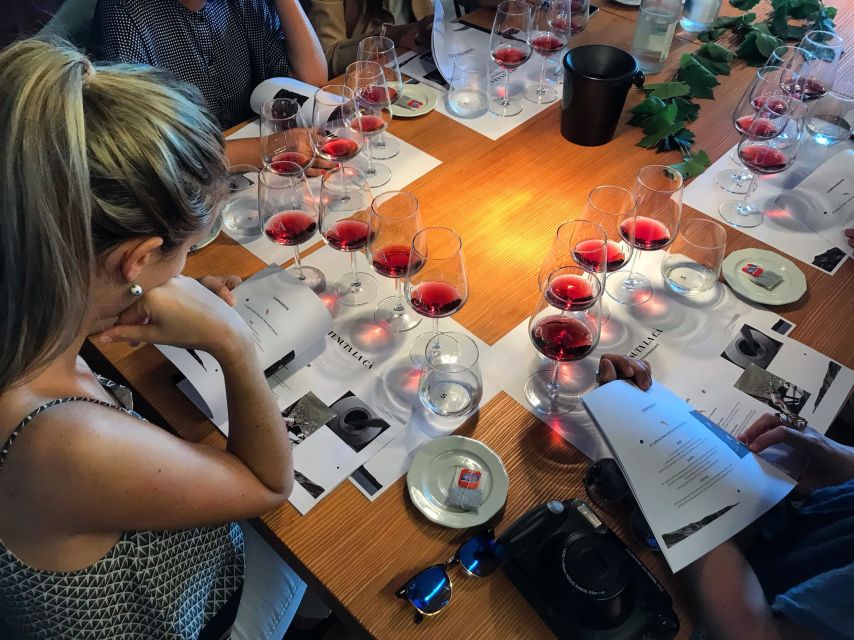 Lake Garda: Wine Tour and Tasting Experience in Bardolino - A 90-minute wine lesson at Tenuta La Cà in Bardolino