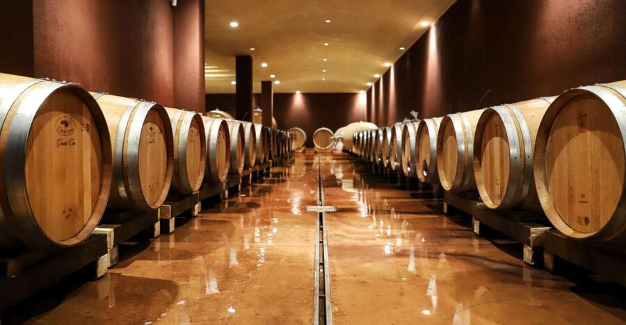 Lake Garda: Wine Tour and Tasting Experience in Bardolino - Inside the winery tour: from harvest to bottling