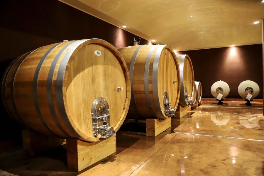 Lake Garda: Wine Tour and Tasting Experience in Bardolino - Local food pairing: appetizers, meats, cheeses, and olive oil