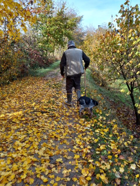 Langhe: Truffle Hunting Experience - Price and Value: Is $94 Fair?
