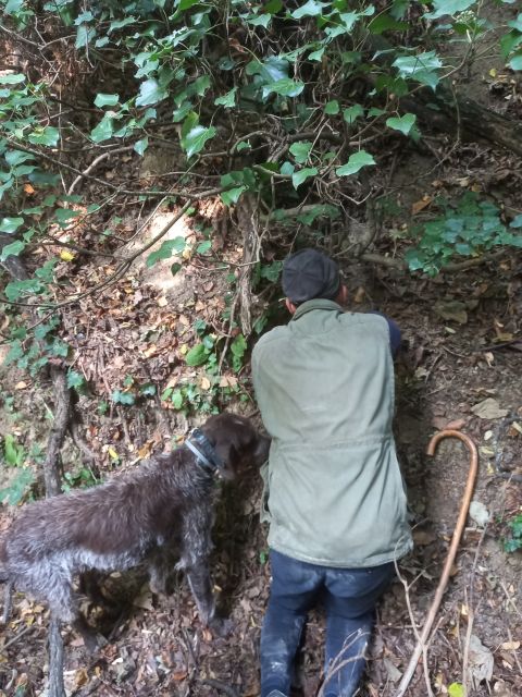 Langhe: Truffle Hunting Experience - Meeting Up in Alba, Then Following the Guide With Your Own Car
