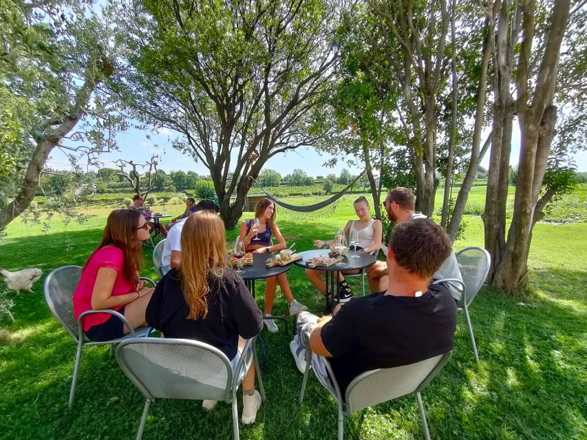 Lazise: Wine Tasting with Charcuterie and Cheese Board - Practical logistics that matter in Lazise