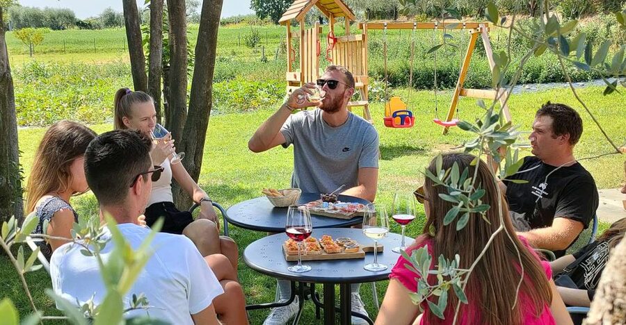 Lazise: Wine Tasting with Charcuterie and Cheese Board - The wine lineup: rosé, white, and a light local red