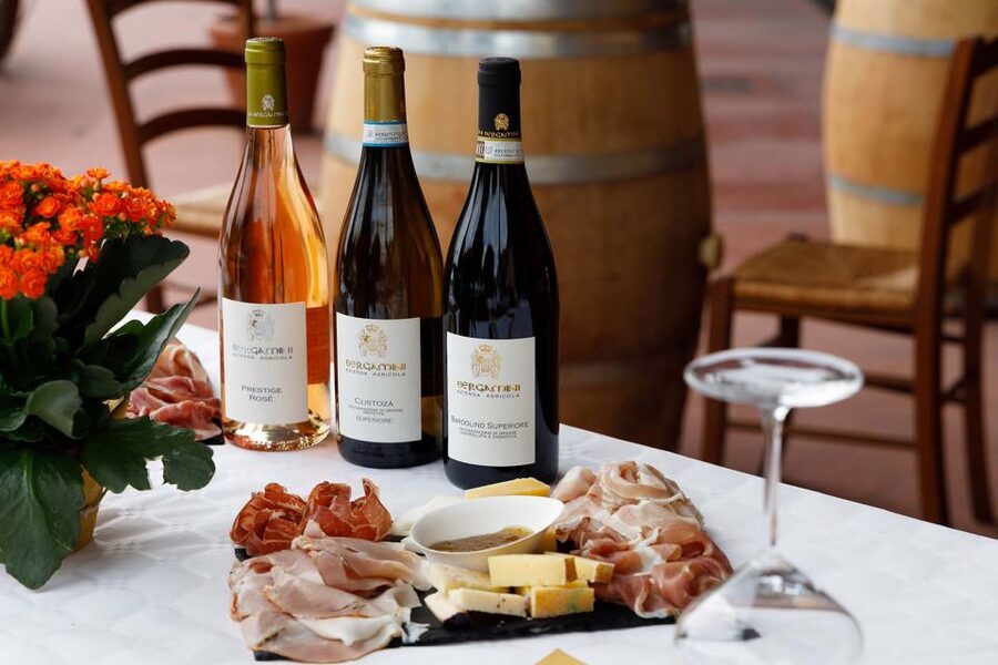 Lazise: Winery Tour with Garda Wines and Food Tasting - The cellar and winemaking facilities: fermentation and aging in plain sight