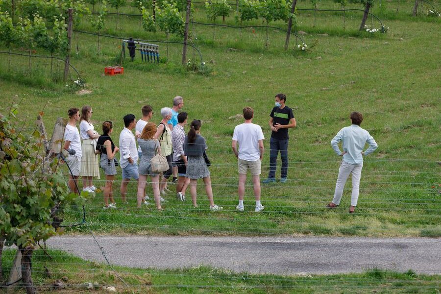 Lazise: Winery Tour with Garda Wines and Food Tasting - The guides, and why the hosting style affects your whole afternoon