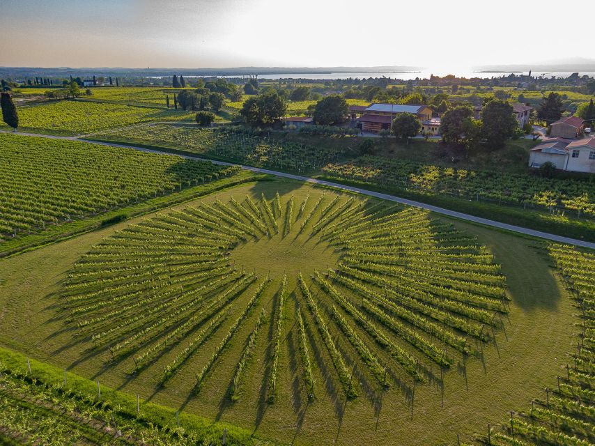 Lazise: Winery Tour with Garda Wines and Food Tasting - Who this Lazise winery tour suits best