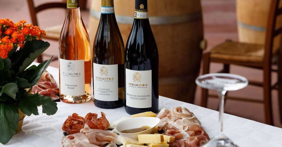 Lazise: Winery Tour with Garda Wines and Food Tasting - The vineyard walk: where the story starts, not where it ends