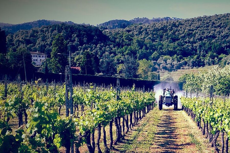 Lucca: Guided E-Bike and Wine Tour - Start at the Tourist Center, Then Get Oriented Fast
