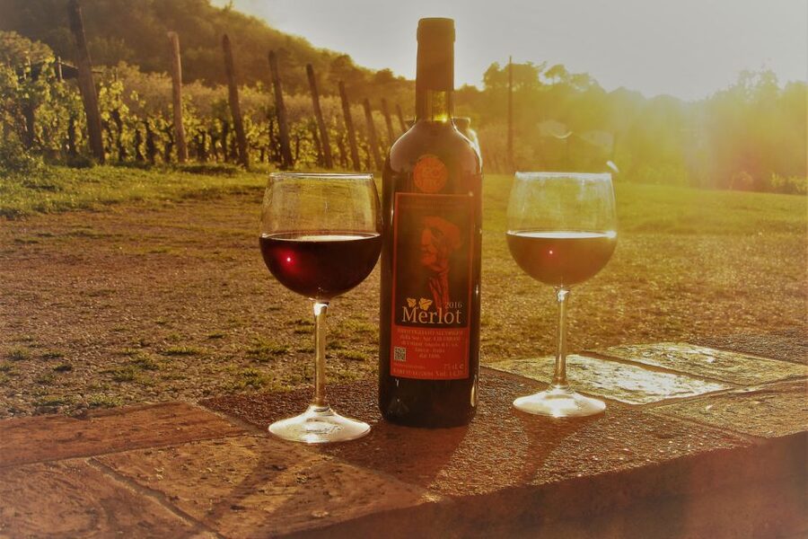 Lucca: Guided E-Bike and Wine Tour - Province of Lucca Ride: Easy Countryside, Real Villages