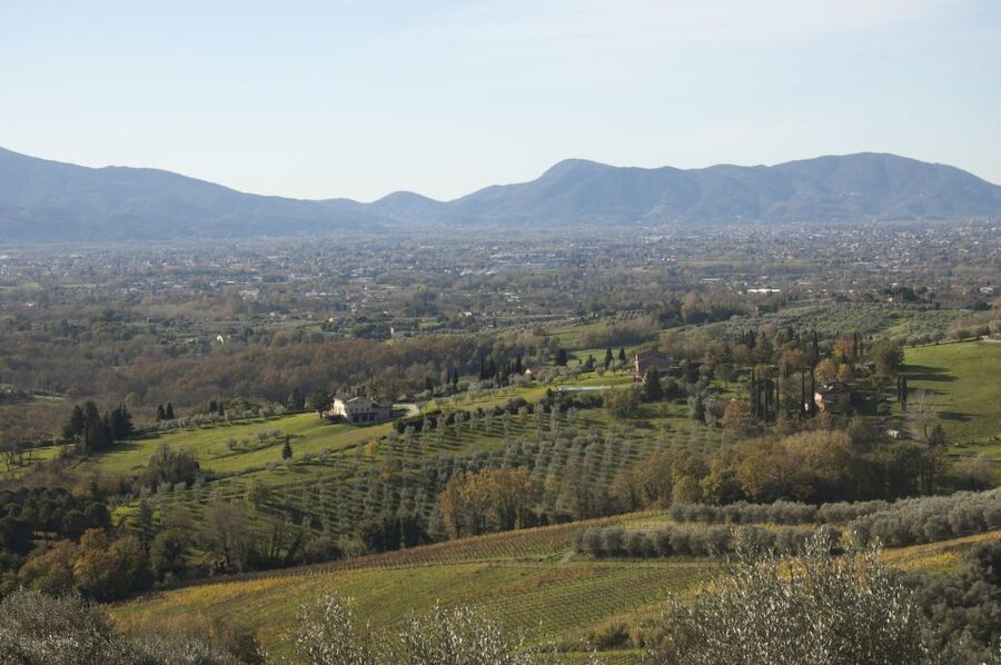 Lucca: Guided E-Bike and Wine Tour - Food Pairings That Make the Tasting Feel Like Lunch