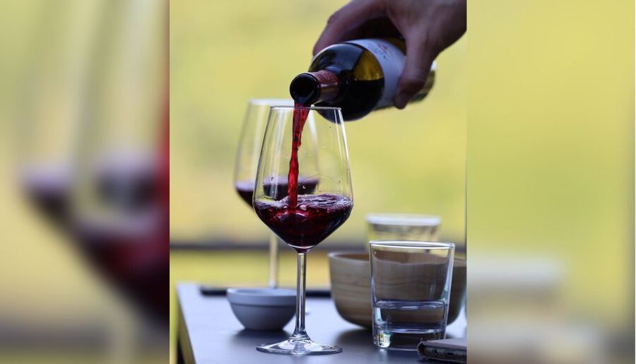 Lucca: Guided Winery Tour with Wine Tasting - Tenuta Adamo: A Lucca Winery Experience With a Real View