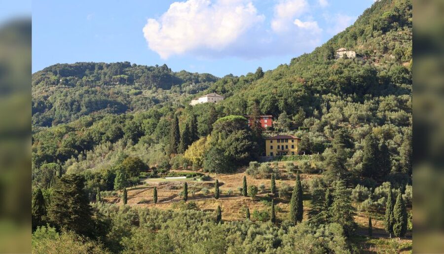 Lucca: Guided Winery Tour with Wine Tasting - Getting There From Lucca: No Pickup, Easy Directions, Real Options