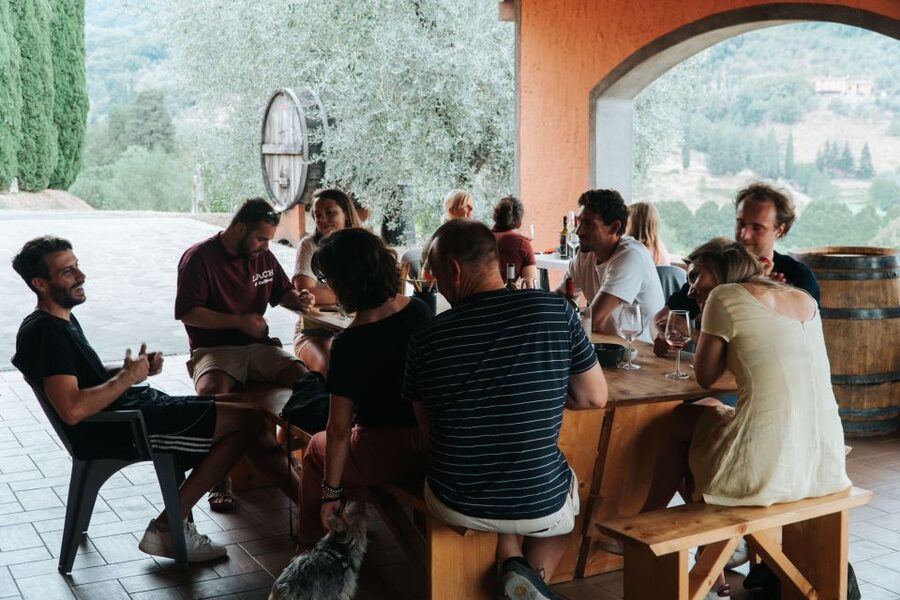Lucca: Guided Winery Tour with Wine Tasting - The 15 to 20 Minute Cellar Tour That Sets the Stage