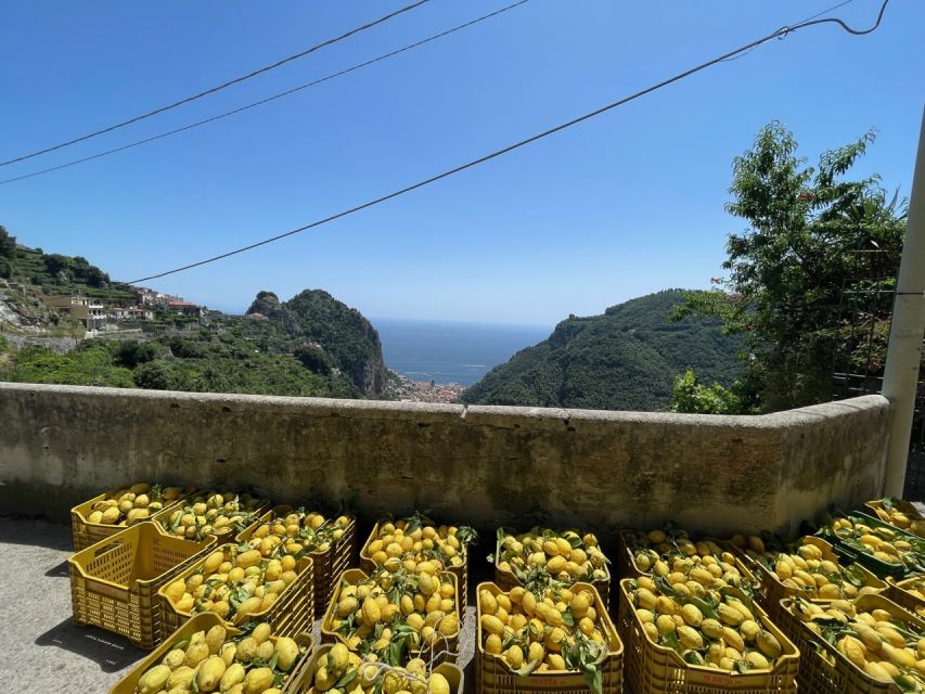 Maiori: Amalfi Coast Path of Lemons Day Trip with Tastings - Walking time, distance, and how hard is it really