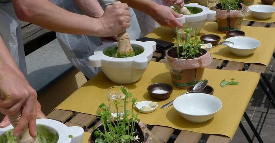 Manarola: Authentic Pesto Making Class at Cinque Terre - Key highlights you will feel immediately