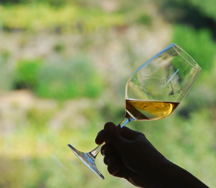 Manarola: Cinque Terre Wine Tasting - Key things you’ll notice right away