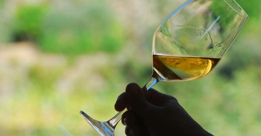 Manarola: Cinque Terre Wine Tasting - Meeting Gabriel at La Cantina Zio Bramante