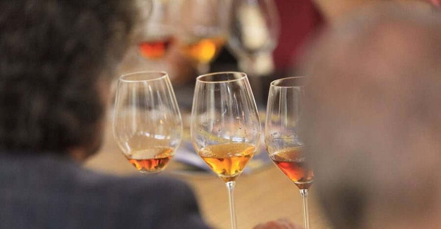 Marsala: Florio Winery Tour with Local Wine Tasting - Key highlights you should know before you go