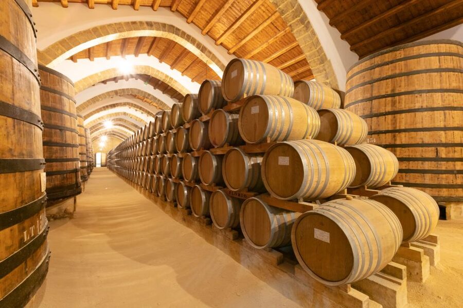 Marsala: Florio Winery Tour with Local Wine Tasting - Inside the cellars: old barrels, designed spaces, and breathable tufa floors