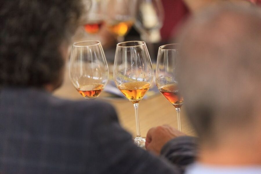Marsala: Florio Winery Tour with Local Wine Tasting - Who should book this Florio Marsala tour?