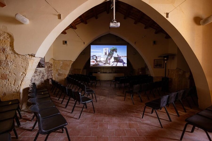 Marsala: Guided Salt Pans Walk Tour with Windmill Visit - Key things you’ll actually remember